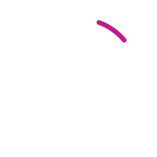 Maintain control of cost, schedule, risk, and financial performance