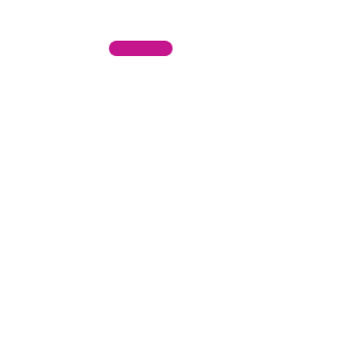 Customization Icon