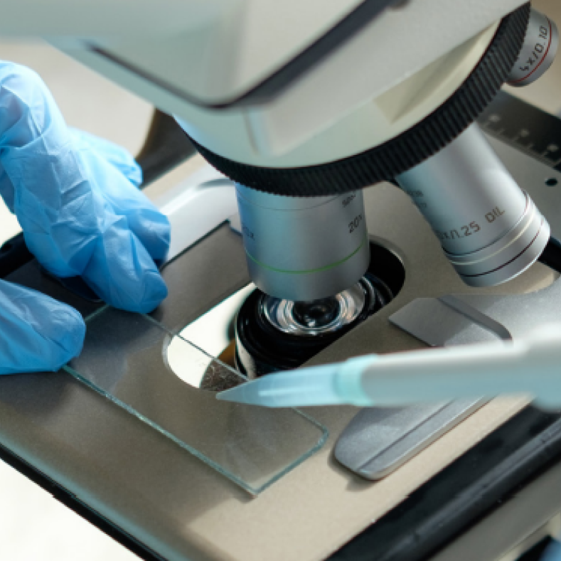 Med Tech Brochure_PLW_Enterprise