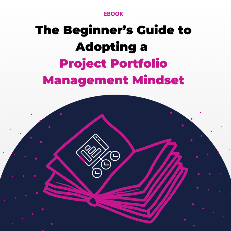 The Beginner&rsquo;s Guide to Adopting a Project Portfolio Management Mindset