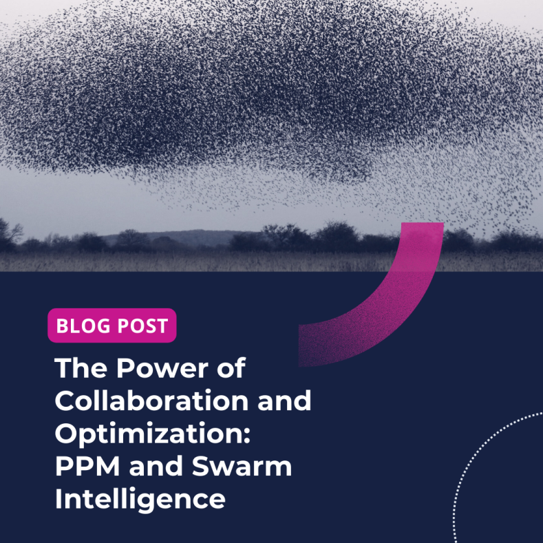 The Power of Collaboration and Optimization: PPM and Swarm Intelligence