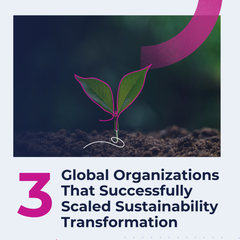 3 Global Organizations That Successfully Scaled Sustainability Transformation