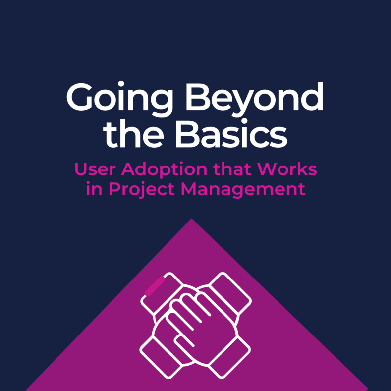 Going Beyond the Basics: User Adoption that Works in Project Management