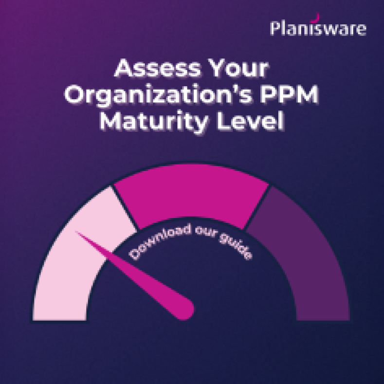 Assess_PPM_Maturity_List