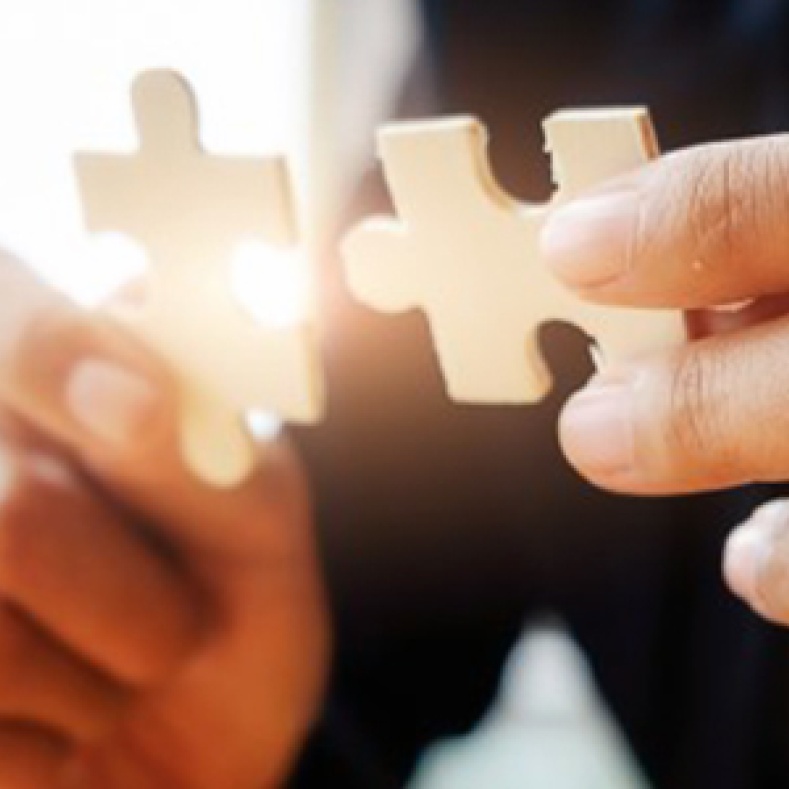 Pieces of the puzzle are brought together