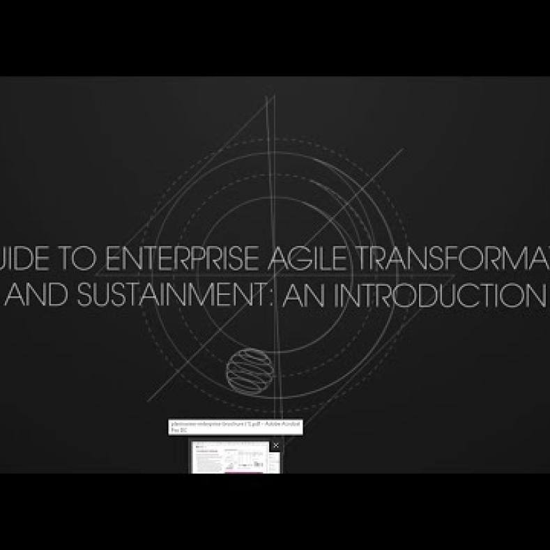 Matt Light on Enterprise Agile Transformation