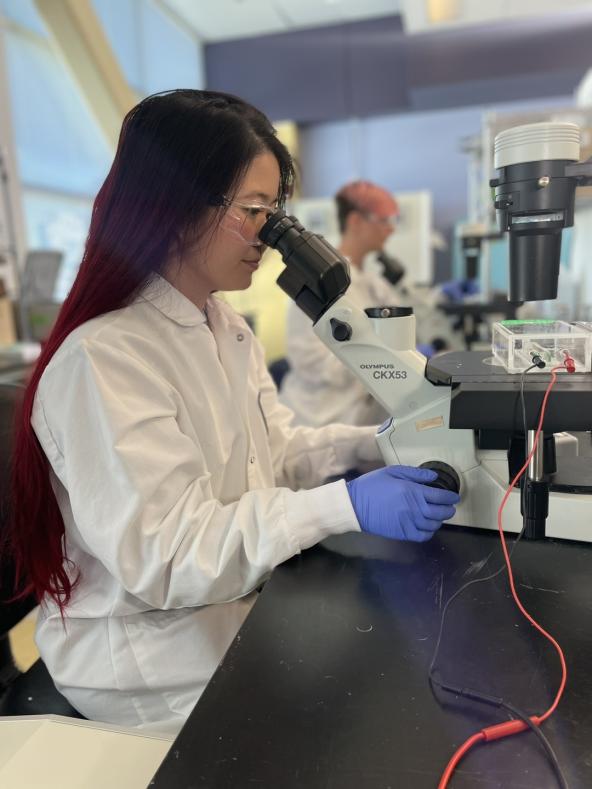 LabTech1