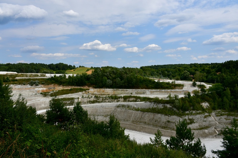 Former mine reforesting