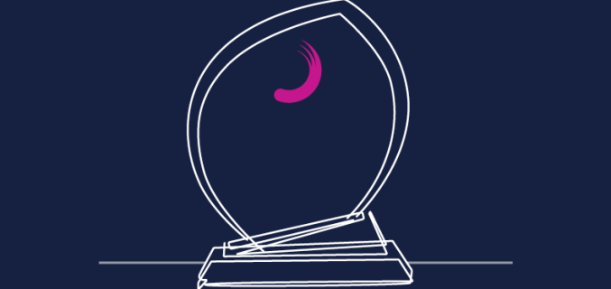 Planisware Excellence Award