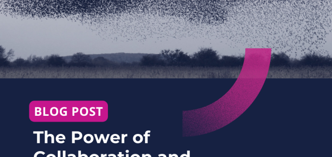 The Power of Collaboration and Optimization: PPM and Swarm Intelligence