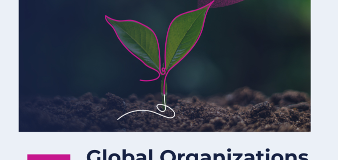 3 Global Organizations That Successfully Scaled Sustainability Transformation