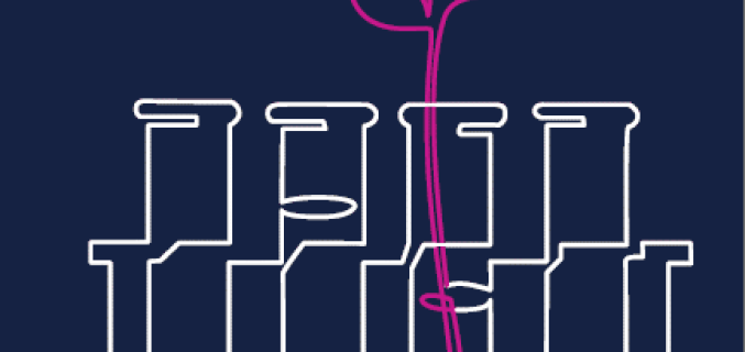 Glass beakers with flower