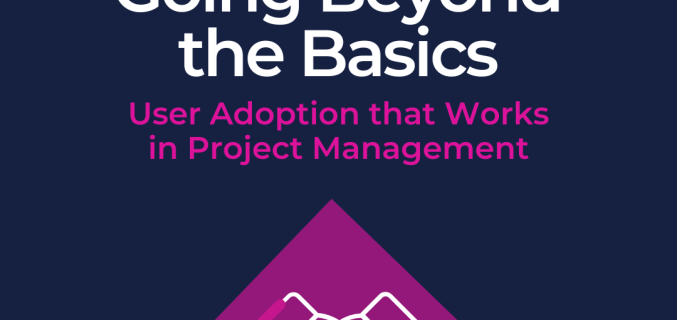 Going Beyond the Basics: User Adoption that Works in Project Management