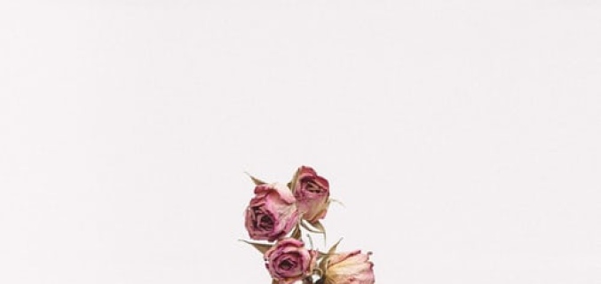 Roses in glas
