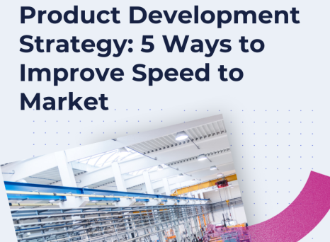 PPM Product Development Strategy