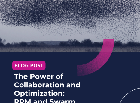 The Power of Collaboration and Optimization: PPM and Swarm Intelligence
