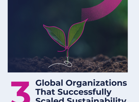 3 Global Organizations That Successfully Scaled Sustainability Transformation