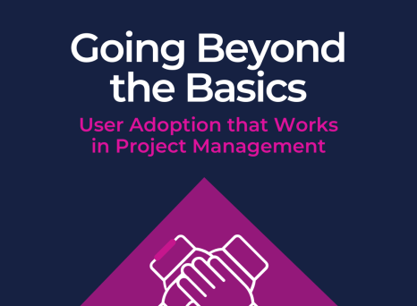 Going Beyond the Basics: User Adoption that Works in Project Management