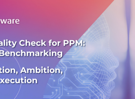 AI Reality Check for PPM